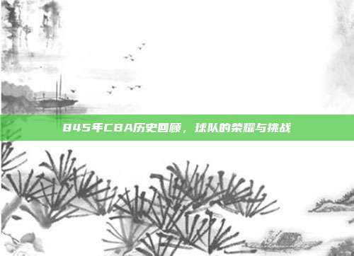 845年CBA历史回顾，球队的荣耀与挑战