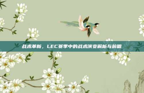 战术革新，LEC赛季中的战术演变解析与前瞻