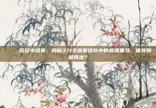 🌟 欧冠小组赛，揭秘371支参赛球队中的最强黑马，谁将脱颖而出？